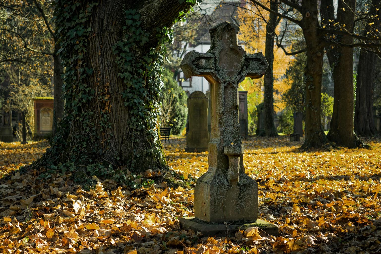 Friedhof (c) mali maeder / cc0 – gemeinfrei / Quelle: pexels.com